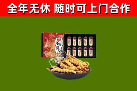 裕安回收冬虫夏草价格