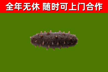 裕安回收海参干